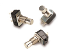 110/316P Series Pushbutton Switch