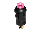 CIT Relay and Switch DG Series Pushbutton Switch