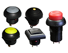 CIT Relay and Switch ES Series Pushbutton Switch