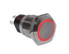 PVA3 Series E-Switch Pushbutton Switch