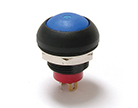 RP8100 Series E-Switch Pushbutton Switch